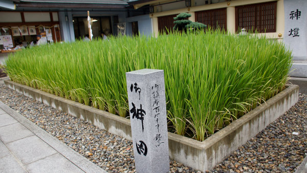 gokoku29 (107).jpg